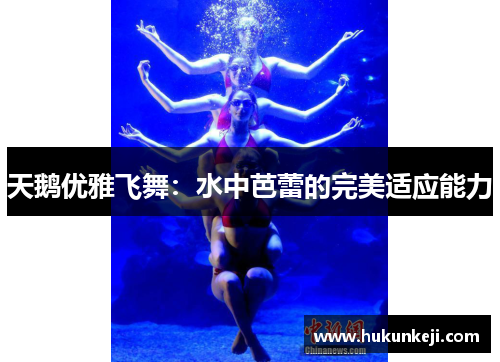 天鹅优雅飞舞：水中芭蕾的完美适应能力